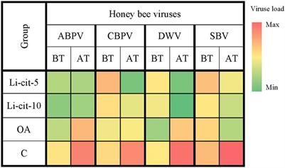 Contact varroacidal efficacy of lithium citrate and its influence on viral loads, immune parameters and oxidative stress of honey bees in a field experiment